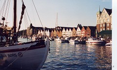 53.jpg  53